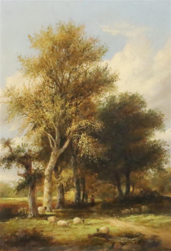 James Stark (1794-1859) Shepherd and flock in woodland 11.75 x 8.5in.